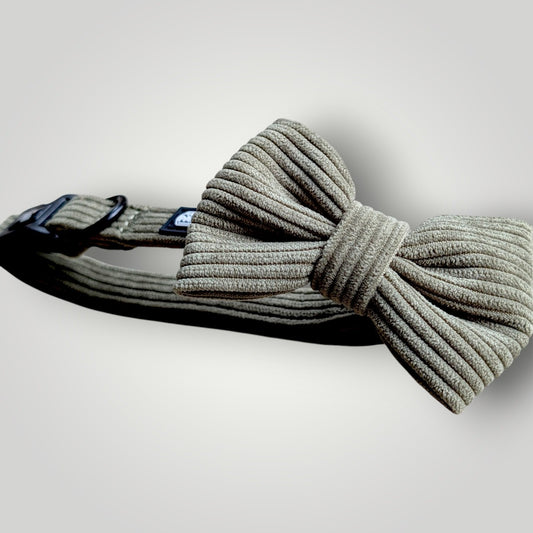 Dog bow tie from The Pawfect Trio pet accessories, featuring a stylish fabric design on a cute small dog.