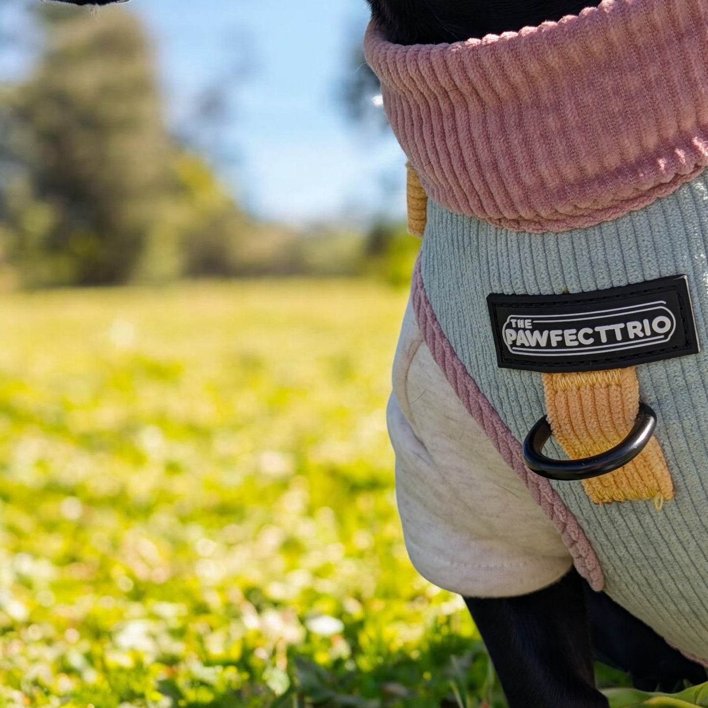 Corduroy dog harness by The Pawfect Trio, featuring a soft, textured material and adjustable straps for comfortable pet wear.